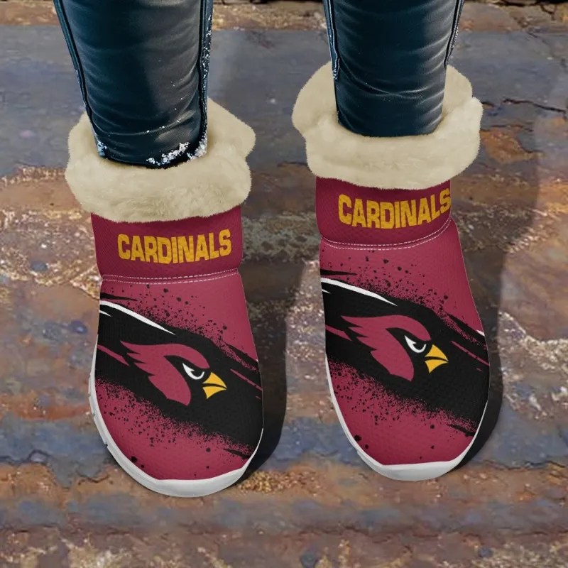 Arizona Cardinalsxzc7w 2.webp