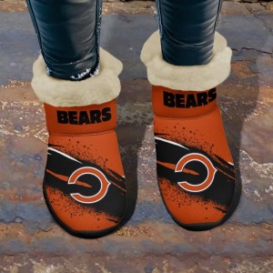 Chicago Bearsxzc7b 2.webp