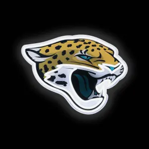 Sgnnflunetmsjj S 2048x.jpg