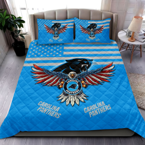 Carolina Panthers 1 6.jpg