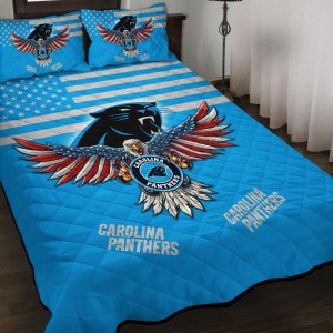 Carolina Panthers 2 6.jpg
